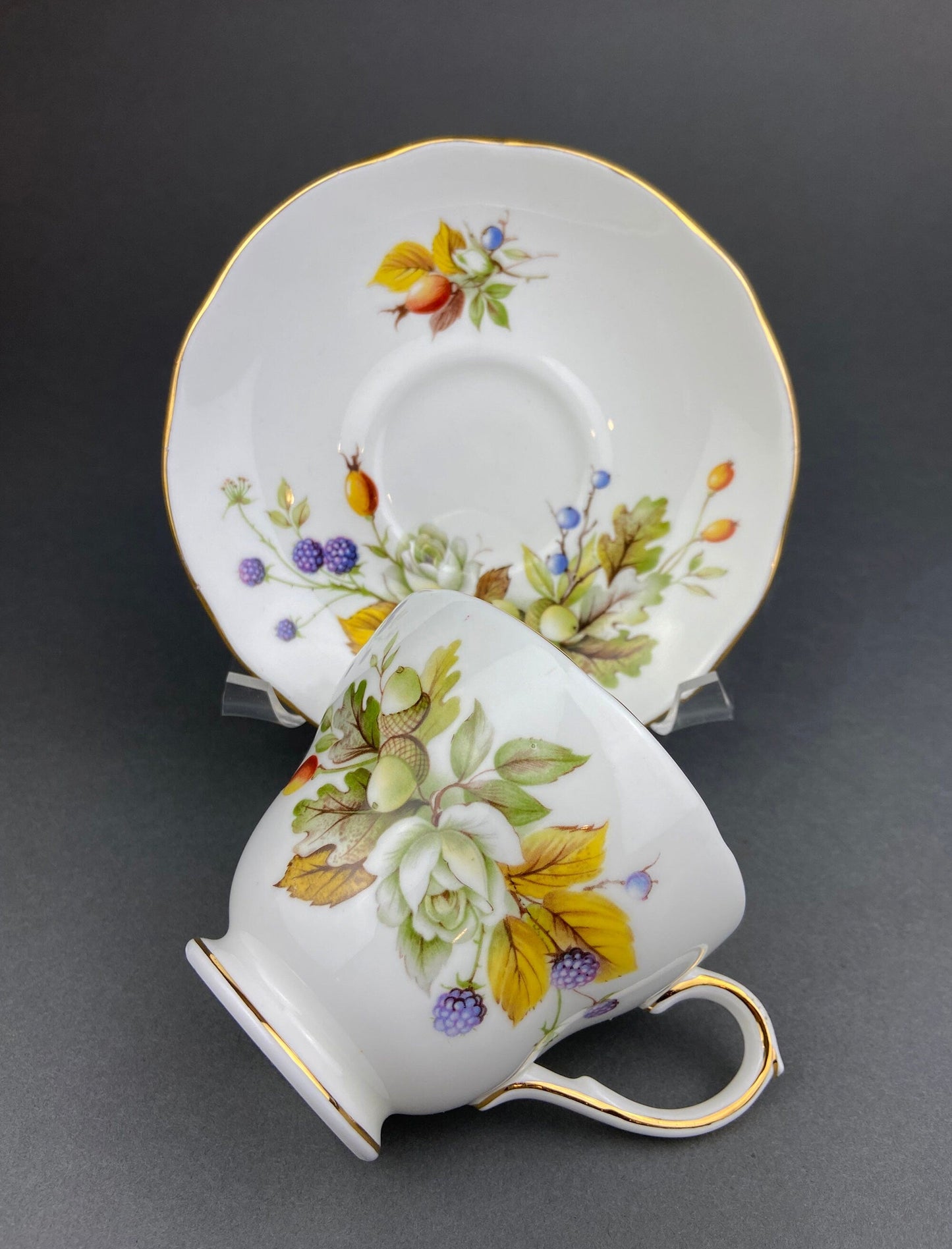 Duchess Fine Bone China Tea Cup and Saucer, Autumn Motif, Made in England