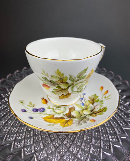 Duchess Fine Bone China Tea Cup and Saucer, Autumn Motif, Made in England