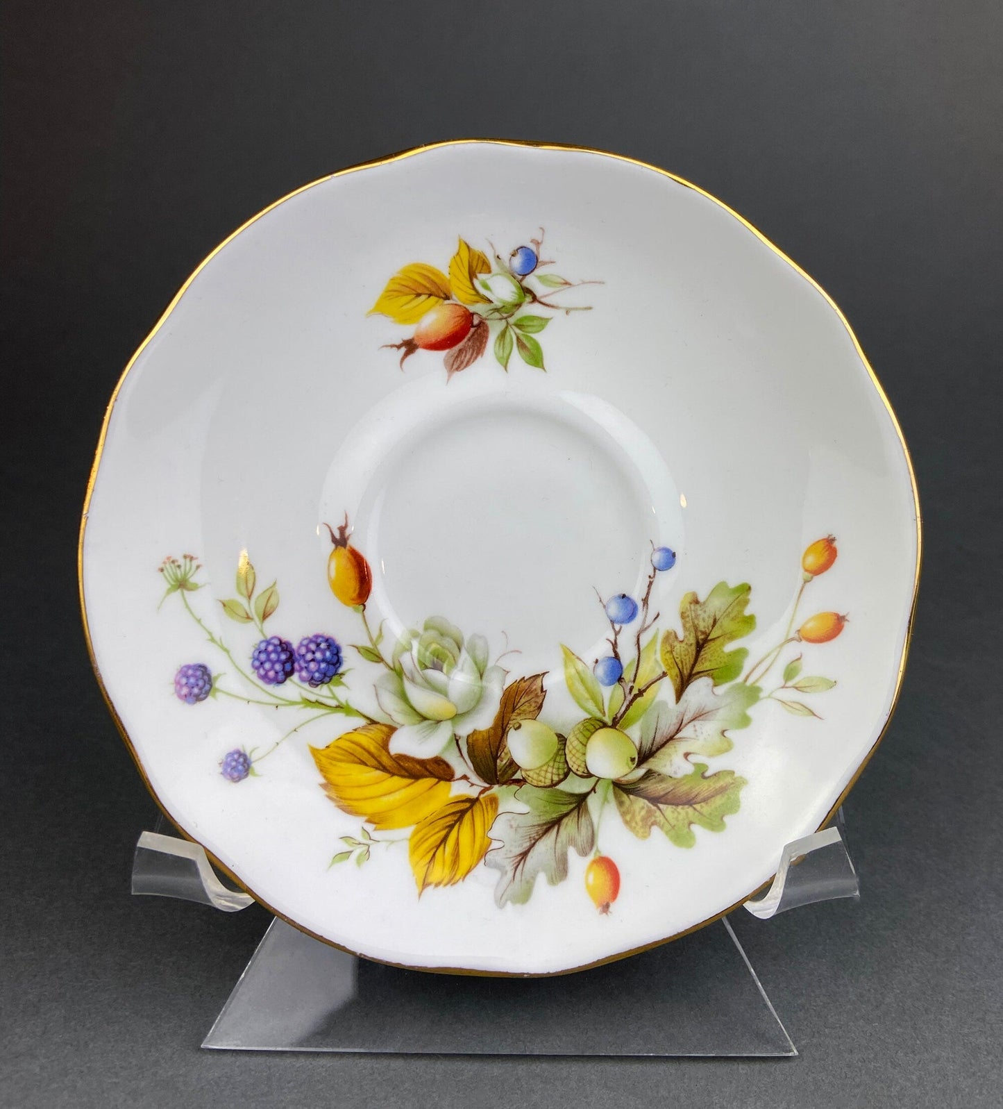 Duchess Fine Bone China Tea Cup and Saucer, Autumn Motif, Made in England