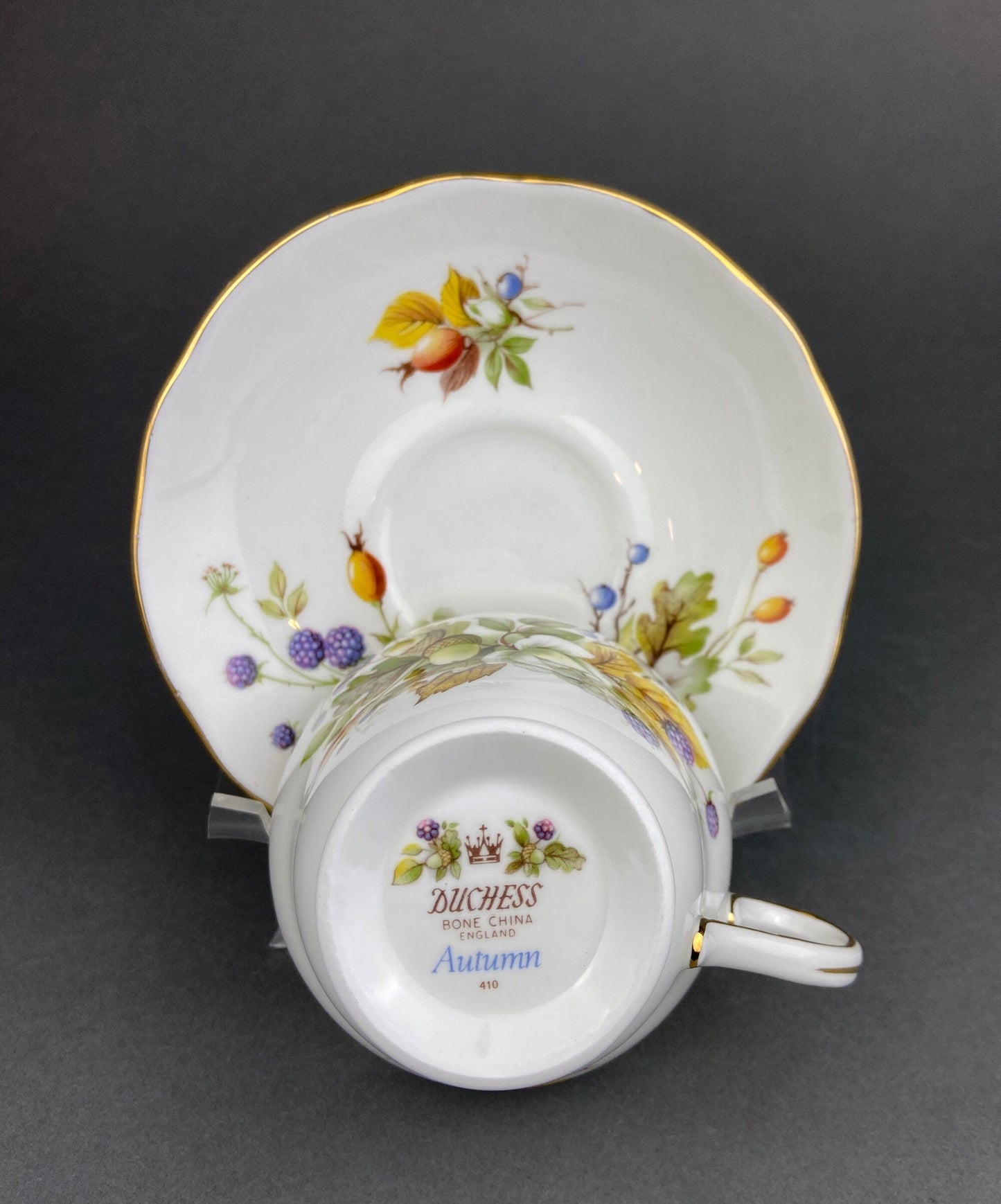 Duchess Fine Bone China Tea Cup and Saucer, Autumn Motif, Made in England