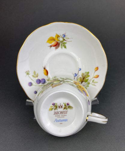Duchess Fine Bone China Tea Cup and Saucer, Autumn Motif, Made in England