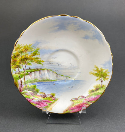 Vintage Royal Vale Tea Cup and Saucer: English Cottage Garden Motif