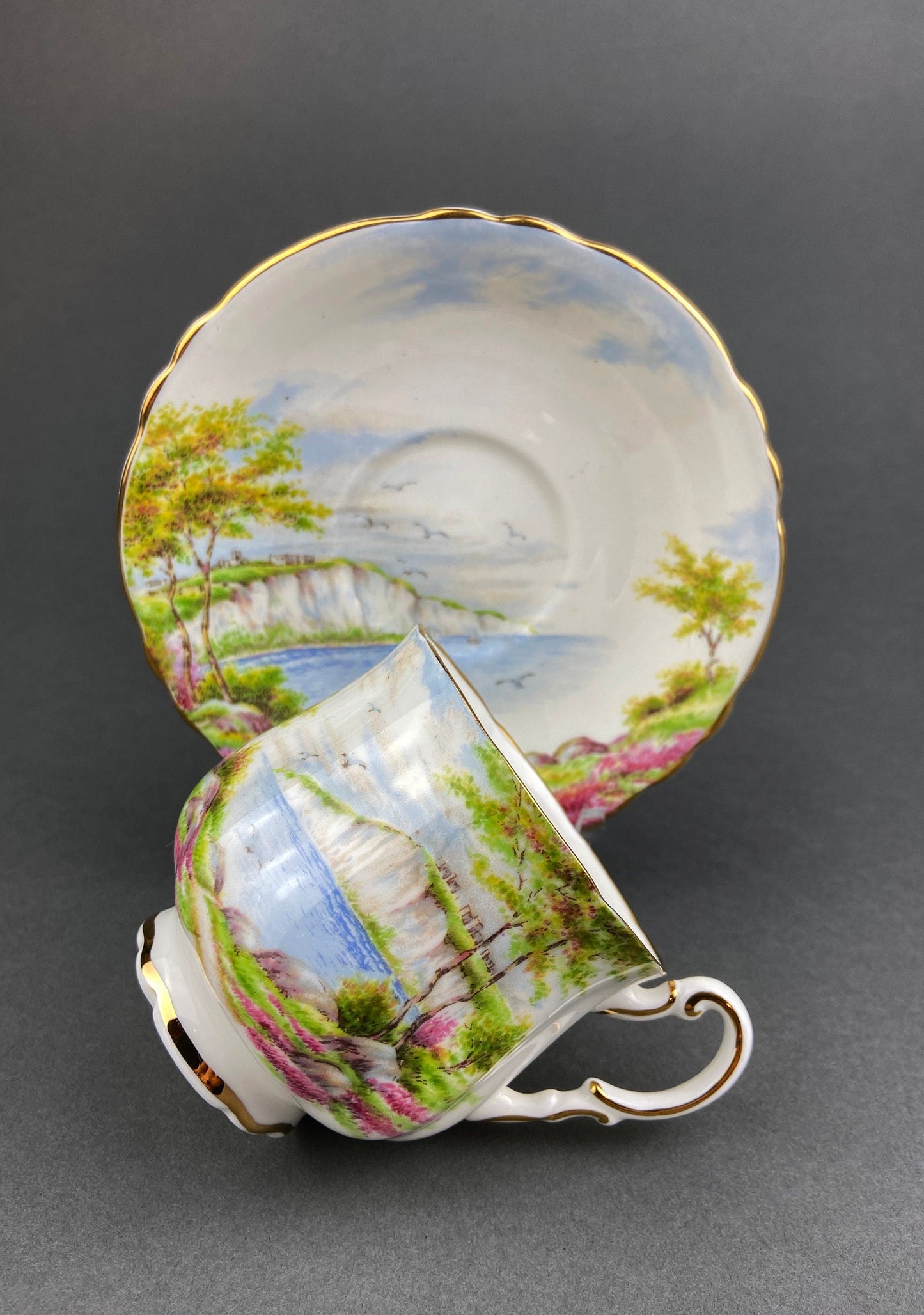 Vintage Royal Vale Tea Cup and Saucer: English Cottage Garden Motif