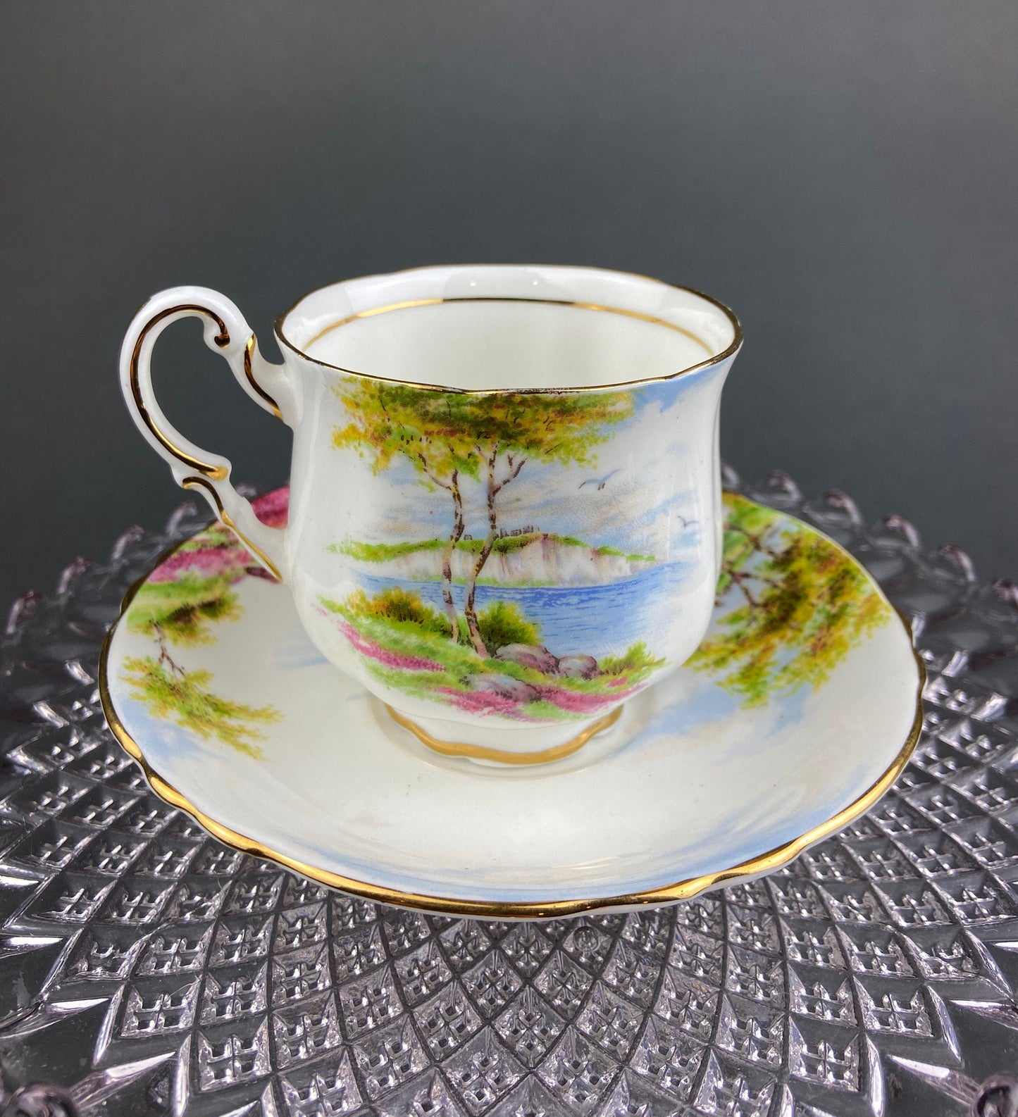 Vintage Royal Vale Tea Cup and Saucer: English Cottage Garden Motif