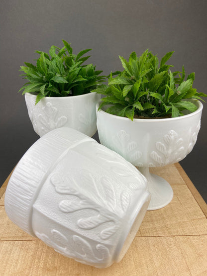 Milk Glass Wheat Design Vase and Planters. Set of Three Differently Shaped Vases. White Herb Planters. Home Decor. Window Sill Garden.