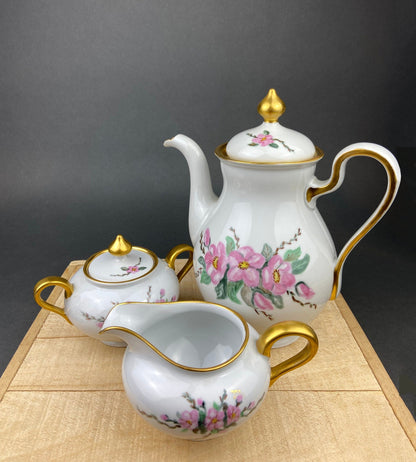 Antique Eschenbach Baronet Tea Set, Bavaria China, Hand-Painted Floral