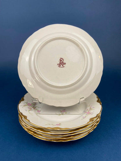Antique Warwick Salad Plates: Hand-Painted Cottage Rose, Set of 6