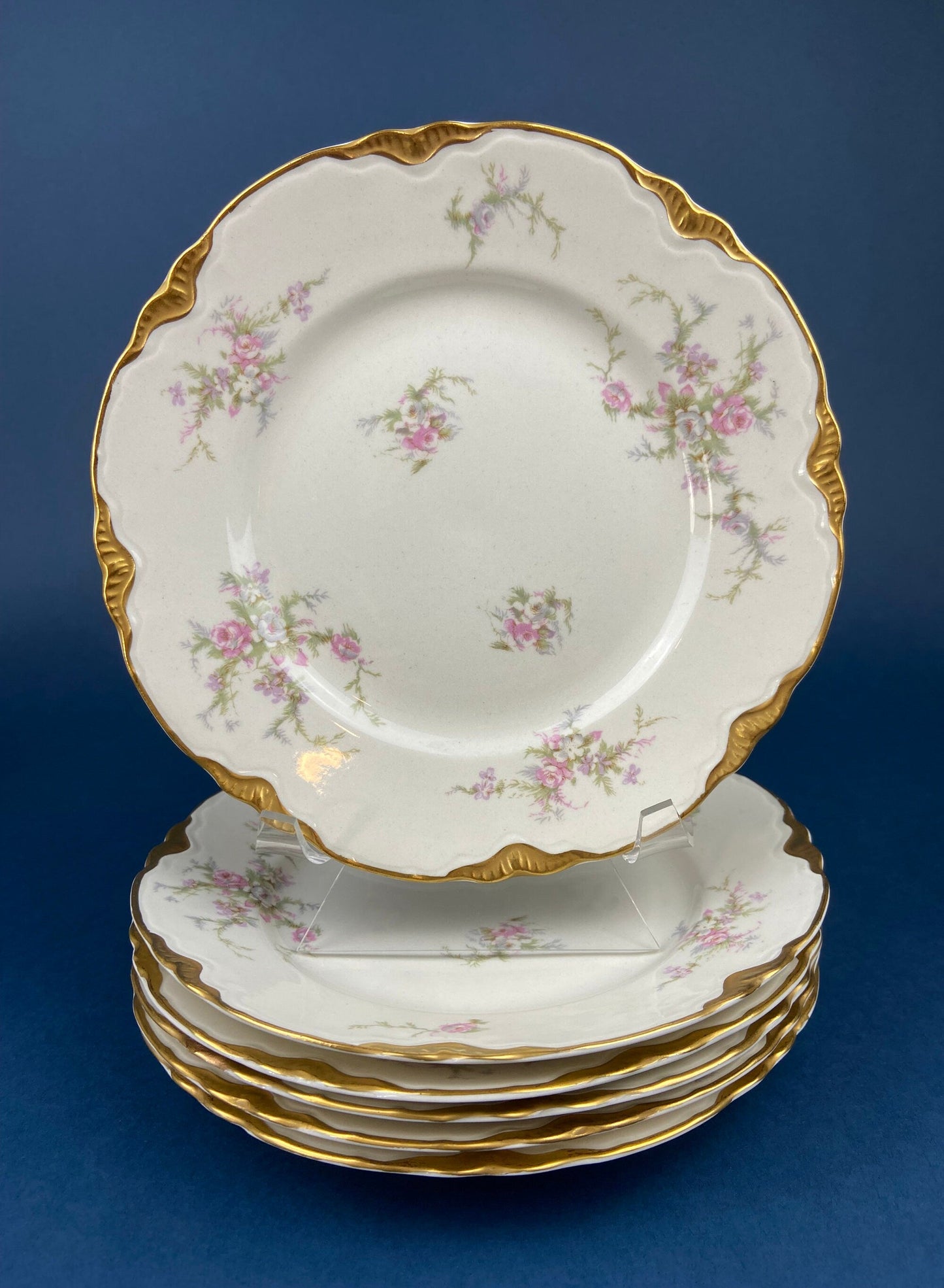 Antique Warwick Salad Plates: Hand-Painted Cottage Rose, Set of 6