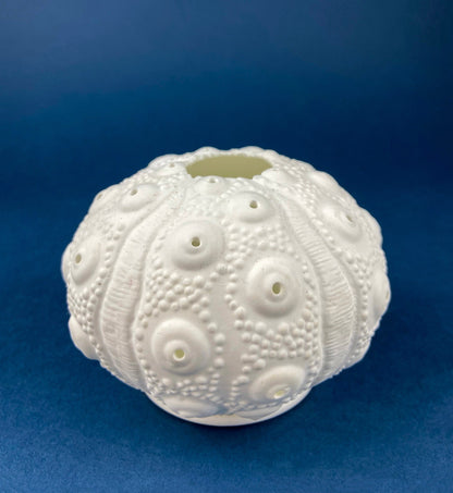 Antique Belleek Cup and Saucer, Sea Shell Pattern Porcelain Tea Set