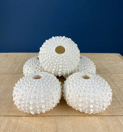Imitation Coral Sculpture for Coastal Themed Home Rock Garden Aquarium. Vacation Property Tropical Display. Gift for Dad, Fisherman.