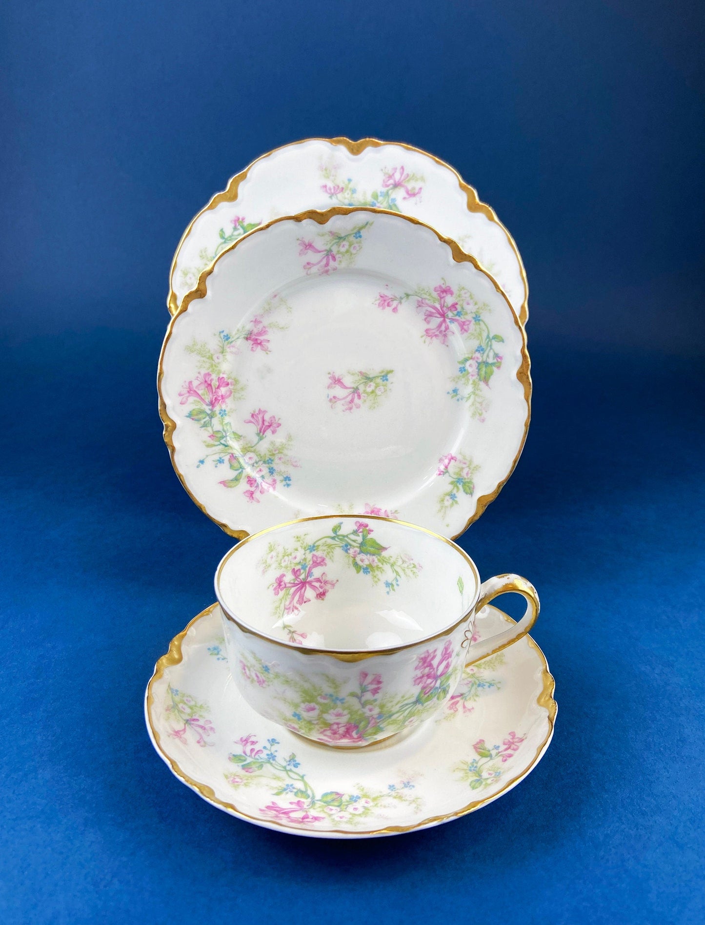 Antique Limoges Trio Tea Set. Floral Motif: Forget-me-nots, Honey Suckle, Roses. Rare Find. French Country Living. Luxurious Dining.