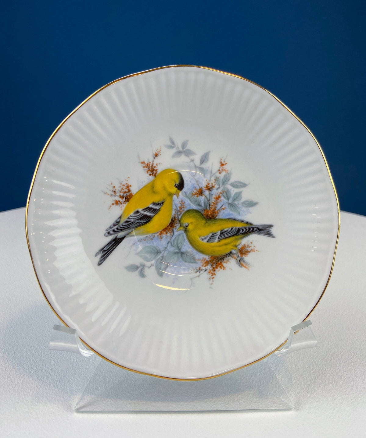 Vintage Cup and Saucer with Blue Birds. Queens's Fine Bone China. Birds of America. Pair of Kingfishers. Gift for Dad, Fisherman, Bird Lover