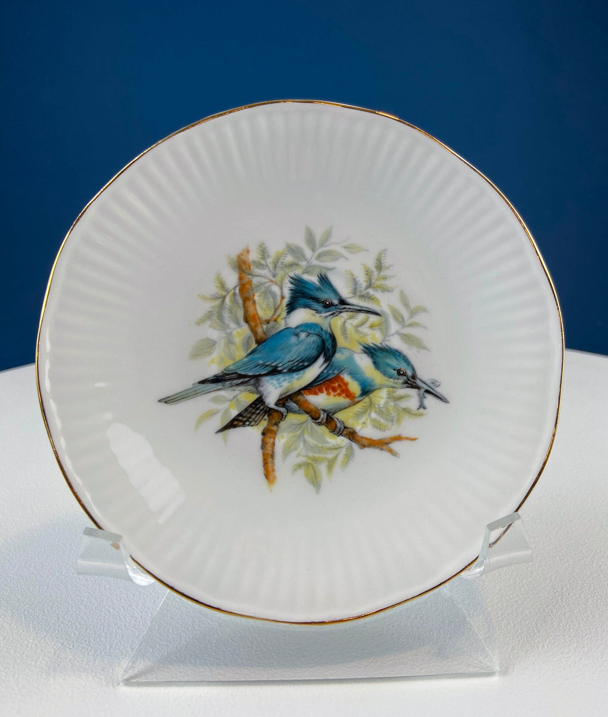 Vintage Cup and Saucer with Blue Birds. Queens's Fine Bone China. Birds of America. Pair of Kingfishers. Gift for Dad, Fisherman, Bird Lover