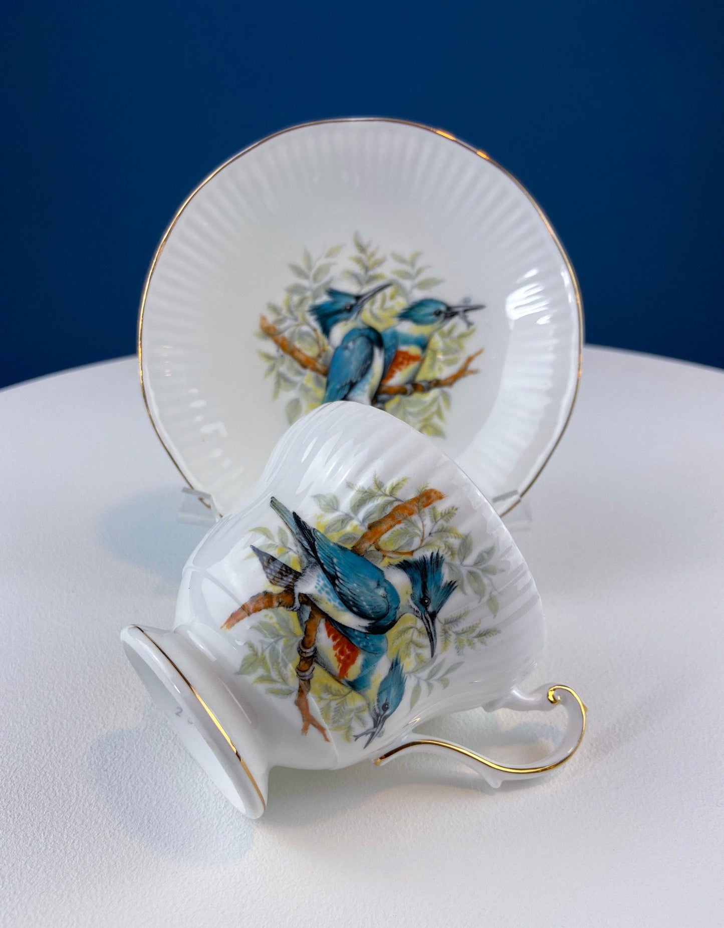 Vintage Cup and Saucer with Yellow Birds. Queens's Fine Bone China. Birds of America. Pair of Finches. Gift of Love. Modern Farmhouse.