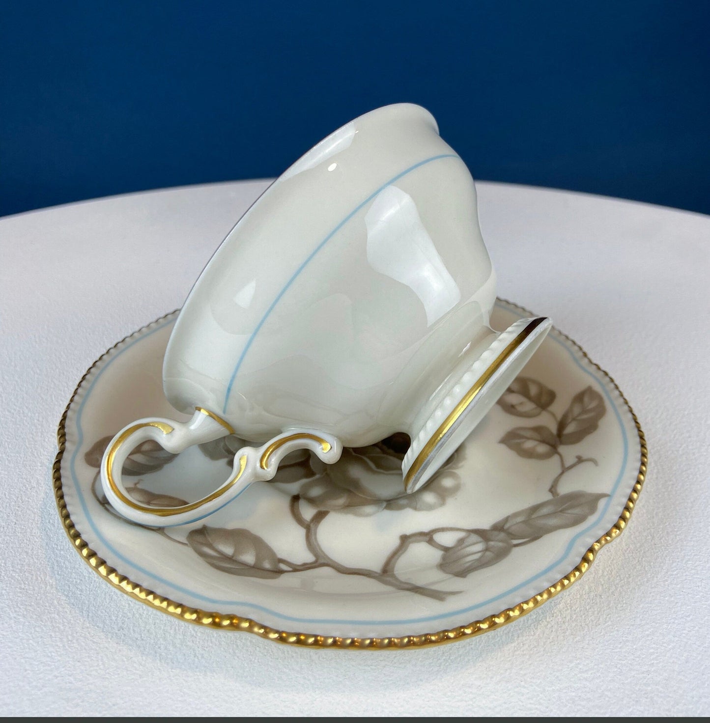 24 Piece Porcelain Dinner Set. Castleton Gloria. Beautiful Neutral Hand Painted Roses. 5 Dinner, Salad, Dessert Plates, Berry Bowls, 4 Cups.