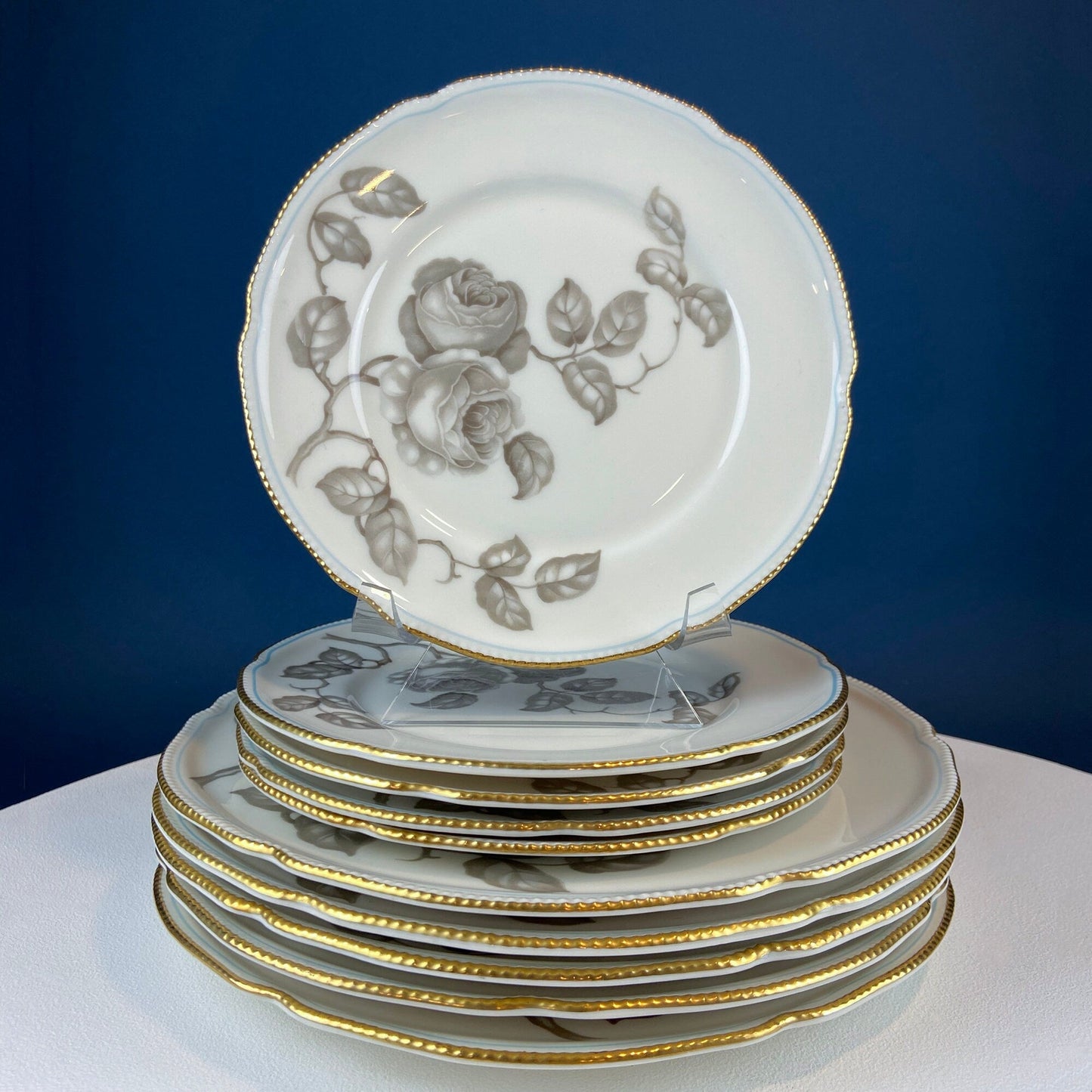 24 Piece Porcelain Dinner Set. Castleton Gloria. Beautiful Neutral Hand Painted Roses. 5 Dinner, Salad, Dessert Plates, Berry Bowls, 4 Cups.