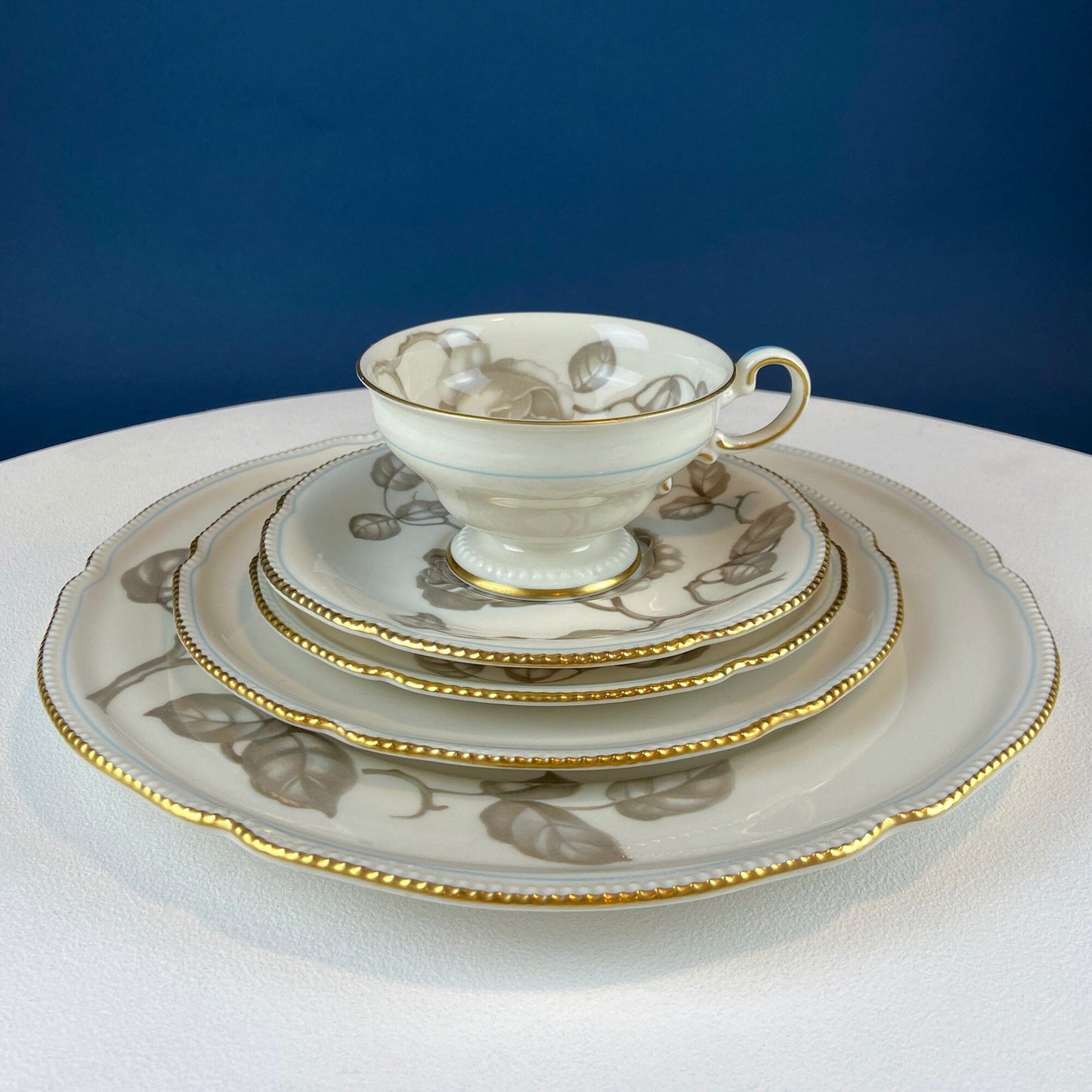 24 Piece Porcelain Dinner Set. Castleton Gloria. Beautiful Neutral Hand Painted Roses. 5 Dinner, Salad, Dessert Plates, Berry Bowls, 4 Cups.