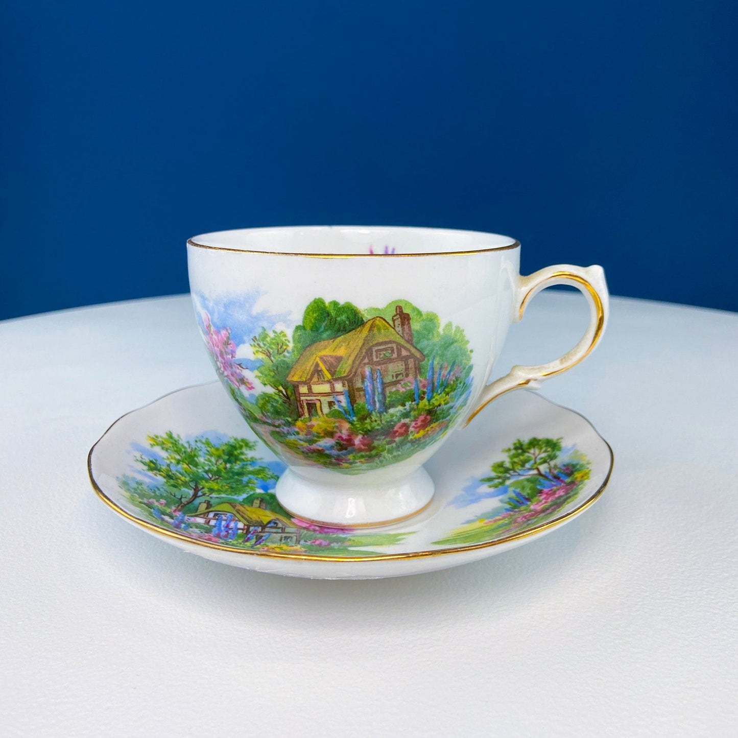 Vintage Royal Vale Tea Cup and Saucer: English Cottage Garden Motif