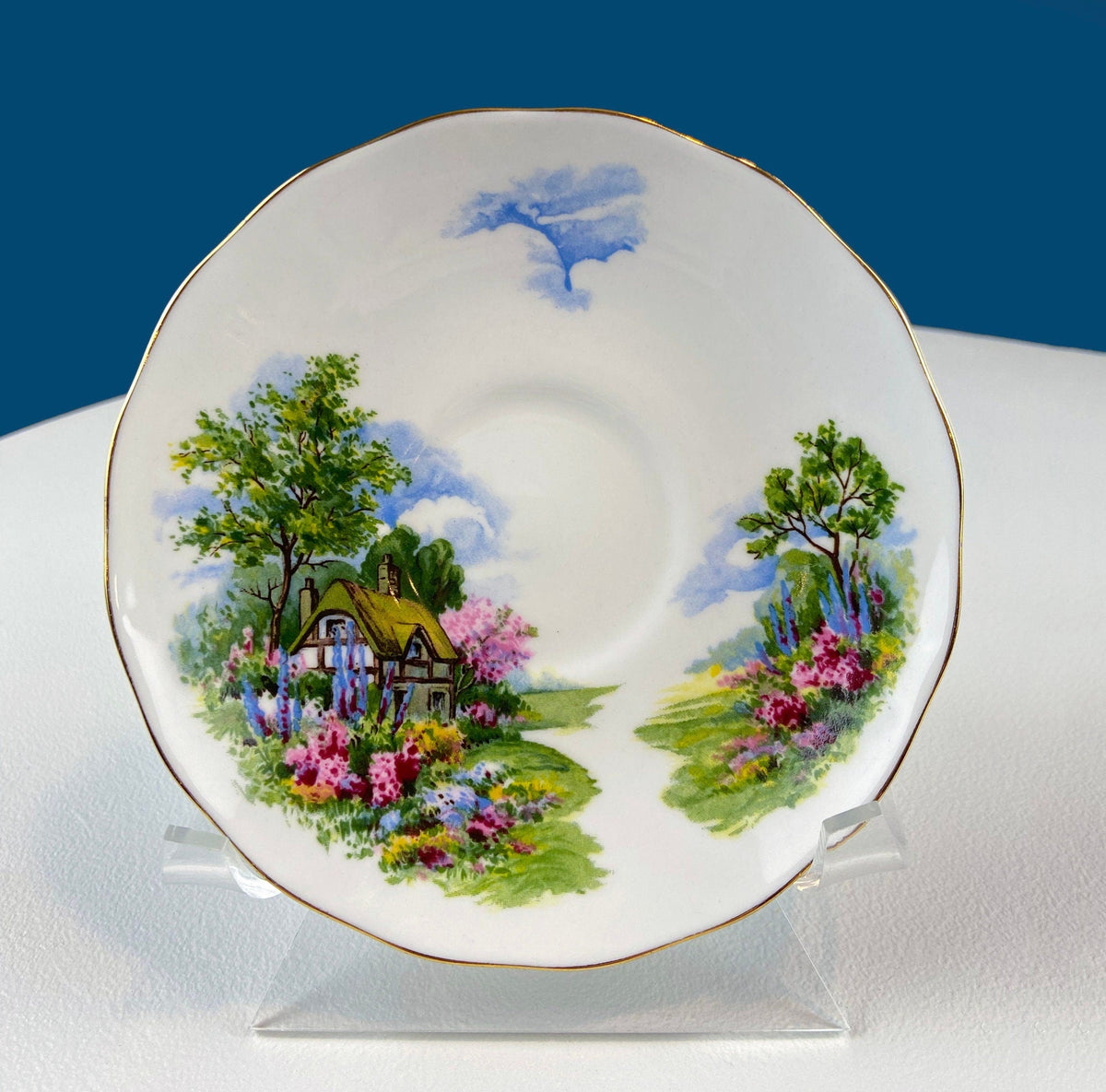 Vintage Royal Vale Tea Cup and Saucer: English Cottage Garden Motif