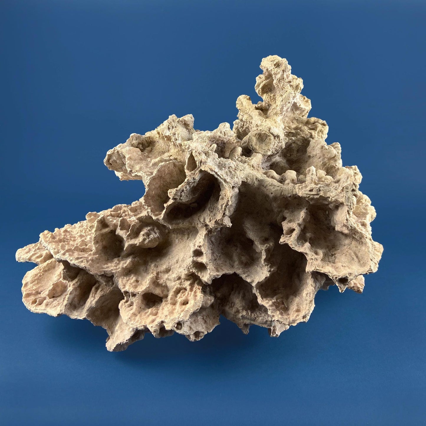 Imitation Coral Sculpture for Coastal Themed Home Rock Garden Aquarium. Vacation Property Tropical Display. Gift for Dad, Fisherman.