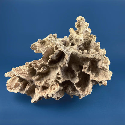 Imitation Coral Sculpture for Coastal Themed Home Rock Garden Aquarium. Vacation Property Tropical Display. Gift for Dad, Fisherman.