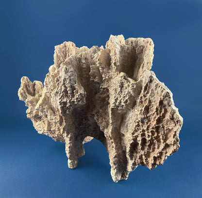 Imitation Coral Sculpture for Coastal Themed Home Rock Garden Aquarium. Vacation Property Tropical Display. Gift for Dad, Fisherman.