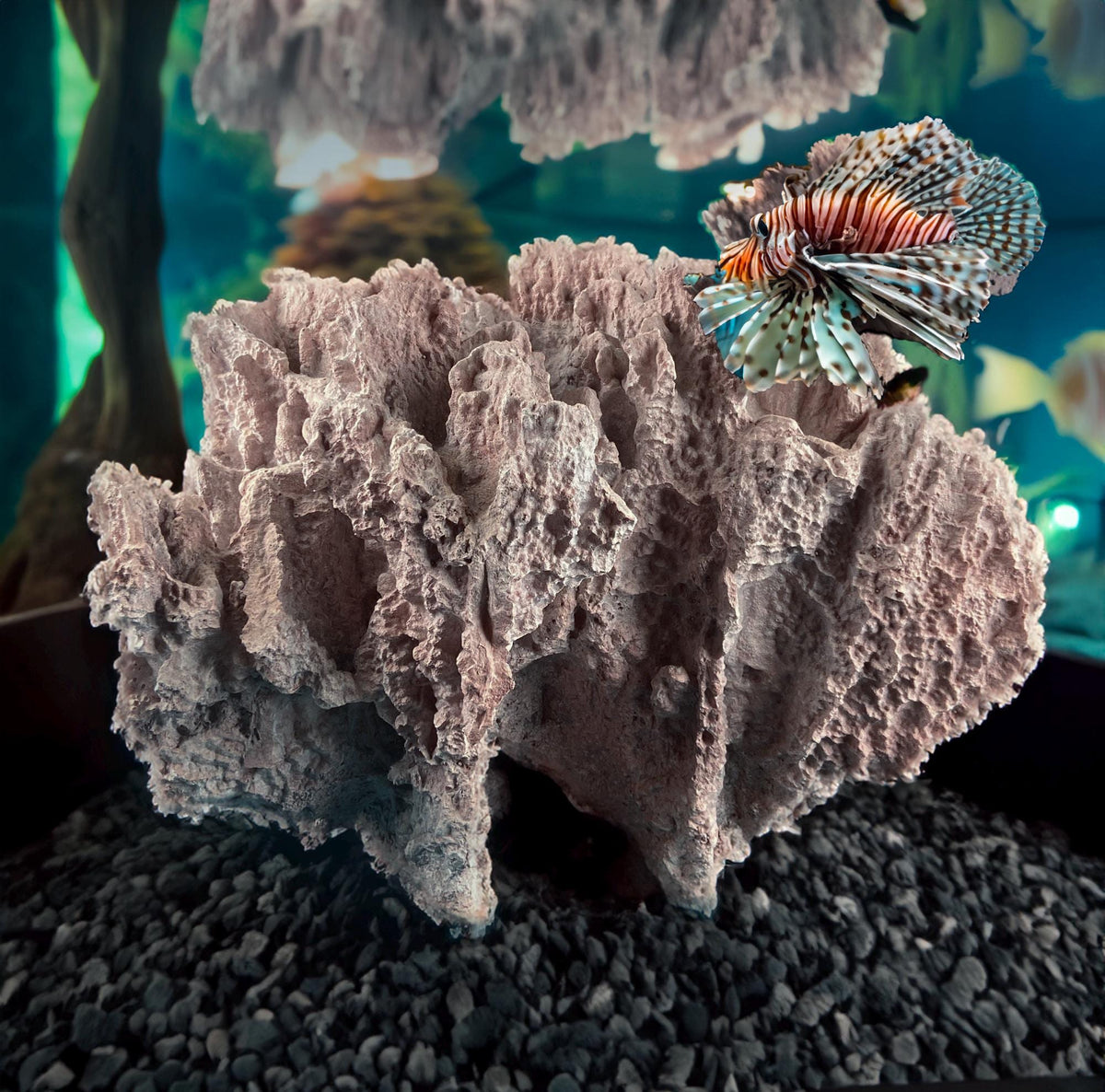 Imitation Coral Sculpture for Coastal Themed Home Rock Garden Aquarium. Vacation Property Tropical Display. Gift for Dad, Fisherman.
