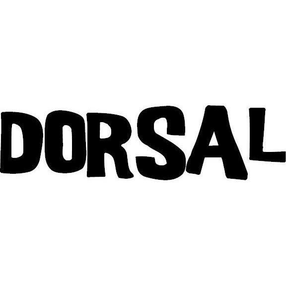 DORSAL Aero Roof Rack Pads 28 Inch Wide Red 15 ft Straps for Car
