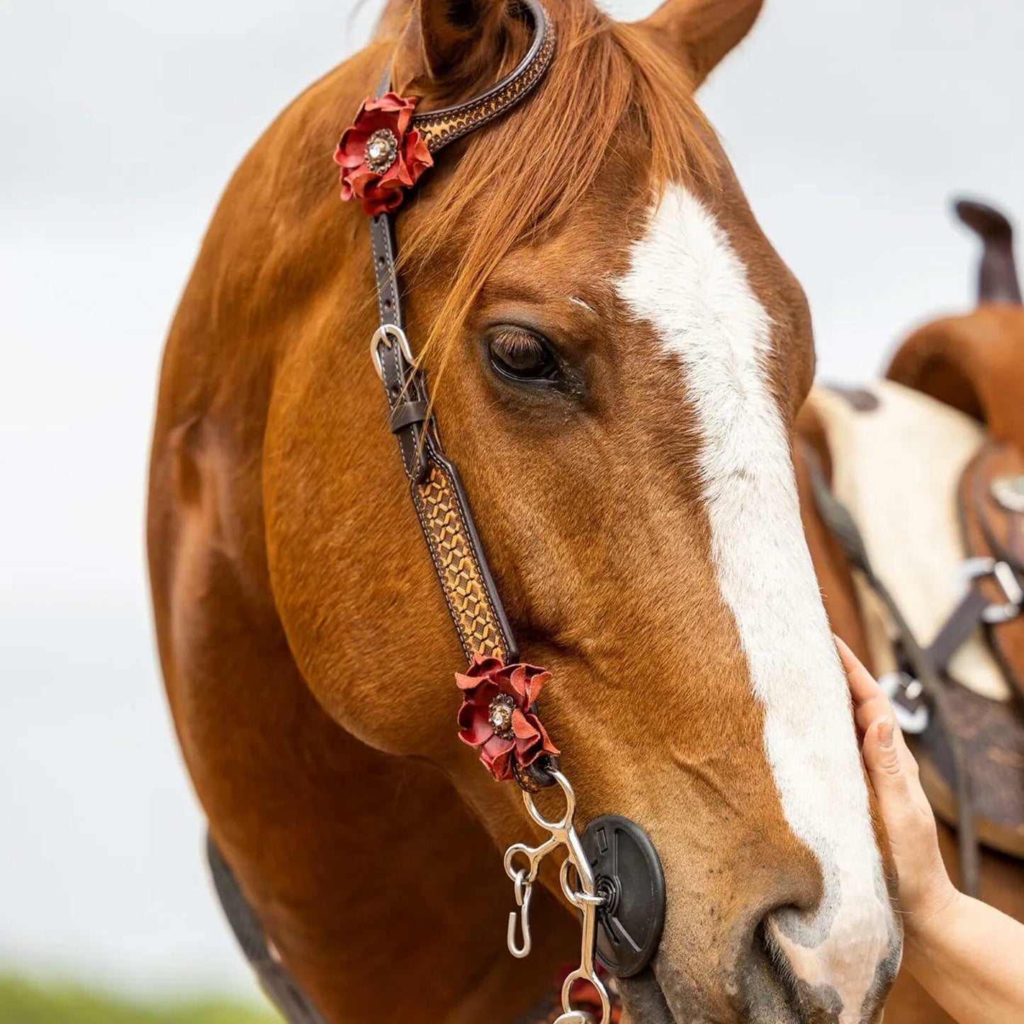 Circle Y Sarah Rose Vintage Hand-Tooled Leather One Ear Headstall with Red Flower Conchos, Chicago Screws & Durable Stainless Steel Hardware for Show & Everyday Riding