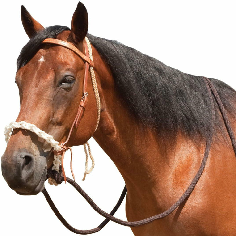 Mustang Round Braided Noseband Breaking Hackamore