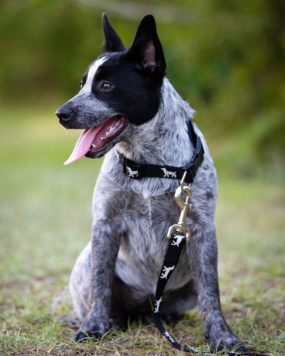 Jeffers Reflective Dog Collar